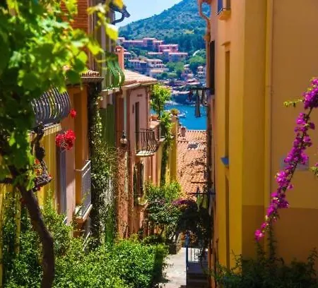 Appartement à Collioure Centre à deux pas de la plage